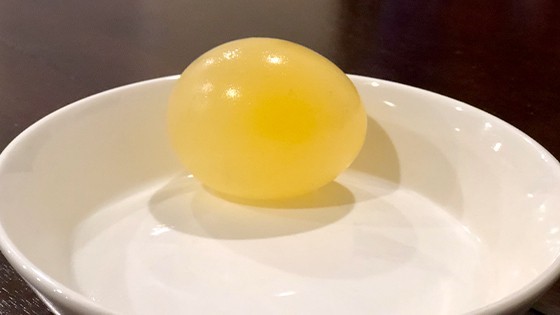 Naked Egg After Vinegar Soak